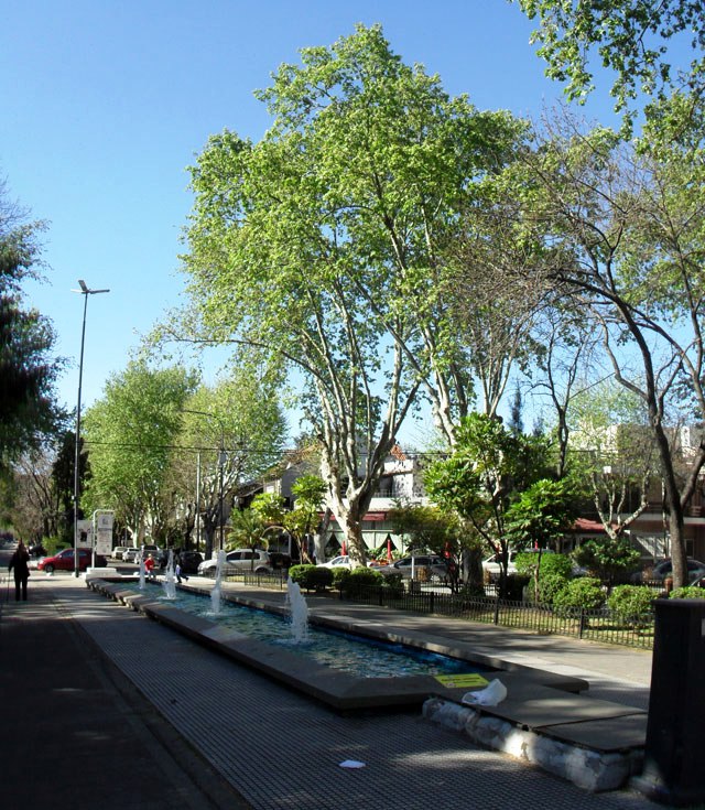 Plaza Alejandro Fleming