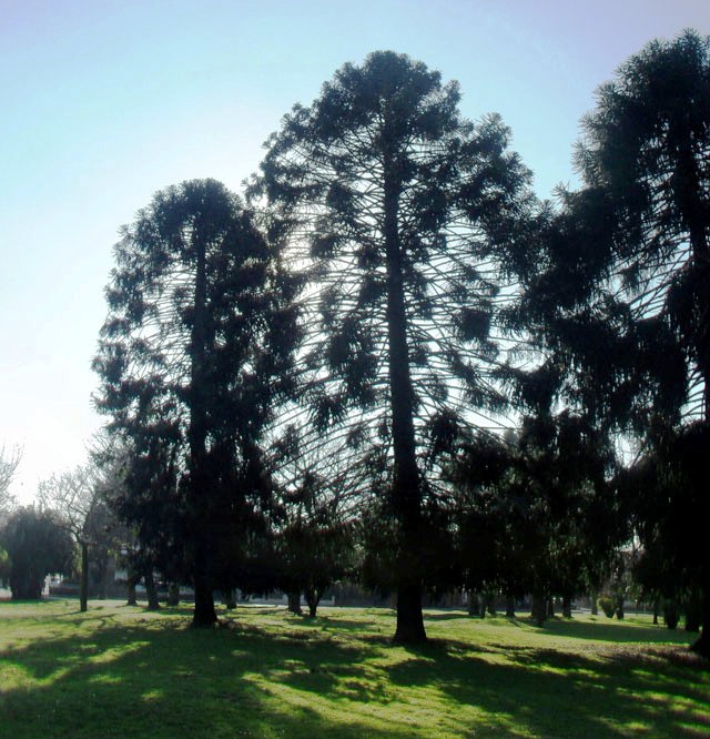 Parque General Paz