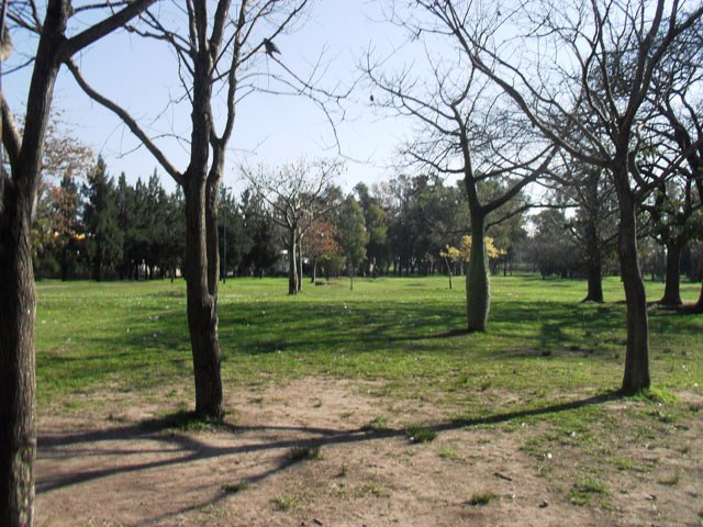 Parque en Gral. Paz y Andonaegui