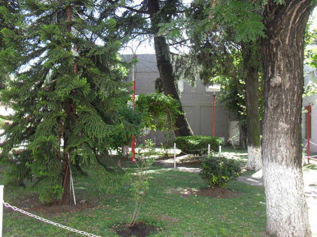 Jardin de la calle Martin Pescador