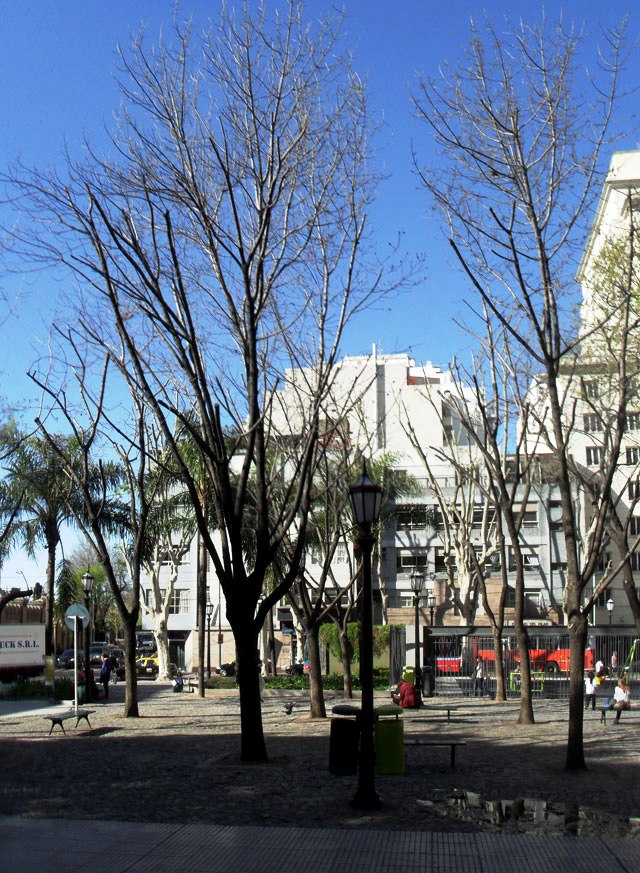 Plaza Manuel Mujica Lainez