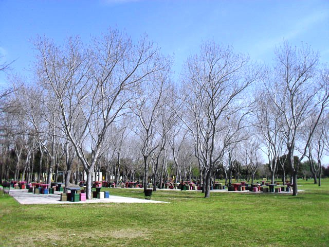 Parque de los Niños